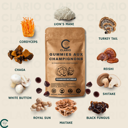 CLARIO° Gummies aux champignons —  Clarté mentale & énergie